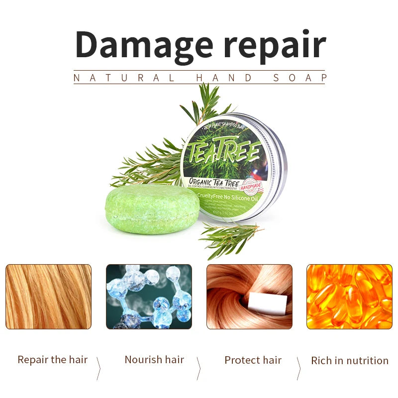 Tea Tree Essential Oil Shampoo Bar – Oil Control, Anti-Dandruff & Scalp Refresh